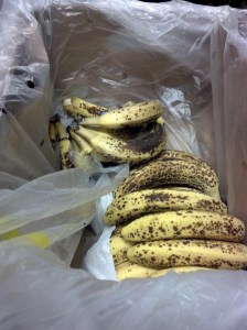 2013-03-06_11-59-04_768