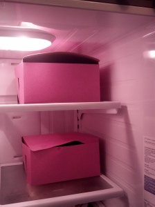 All five cakes in the fridge!